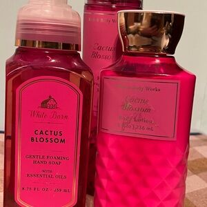 Bath & Body Works Cactus Blossom Set - NWT